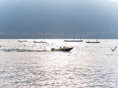 -海埂大坝