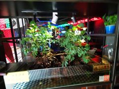 店内环境-胖哥俩肉蟹煲(茂业店)