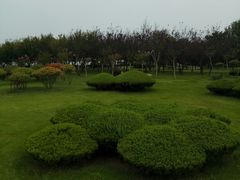 -日照灯塔风景区