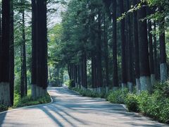 -莫干山风景区