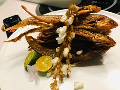 -拈菜(观音桥阳光世纪店)