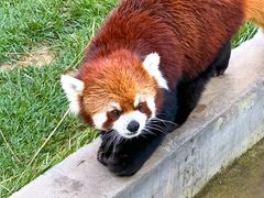 -水上乐园·欢乐世界