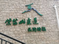 -紫金山山顶公园