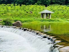 -广州市石门国家森林公园