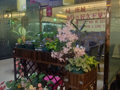 -双龙商场(环城南路店)