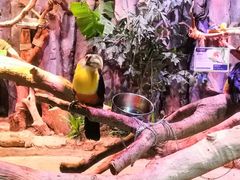 -正佳雨林生态植物园