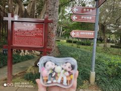 -美亭美榔姐妹塔