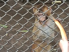 -长白岛森林公园