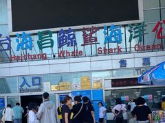 -烟台海昌鲸鲨海洋公园