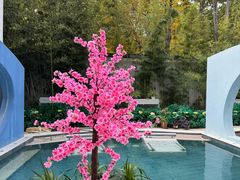 -海德温泉生活馆(朝阳大悦城店)