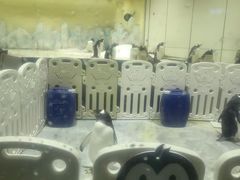 -威海华夏城景区