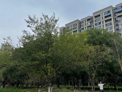 -洋湖国家湿地公园