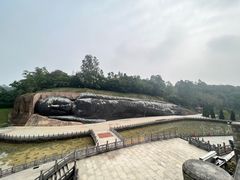 -三水森林公园