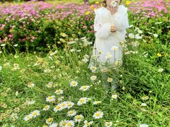 -昆山城市生态森林公园
