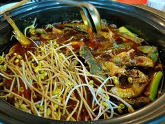 -金海椒罐罐鲢鱼(东方桂苑店)