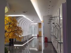 -点石家装(总部旗舰店)