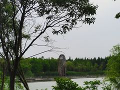 -苏州太湖国家湿地公园