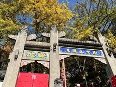 -九华山公园