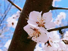 -天津东丽湖风景区