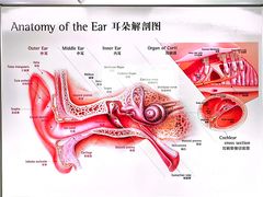 -自然之声助听器·呼吸机(翠微大厦店)