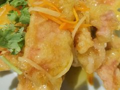 -邵年鸽(杨庄店)