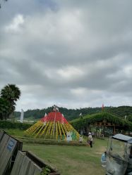 -阿菠萝小猪农场·萌宠乐园·亲子游·研学