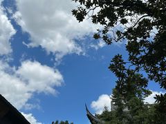 -龙华素斋(龙华路店)