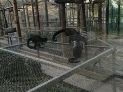 -石家庄市动物园