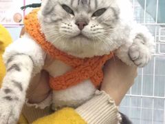 -汪星球宠物生活馆