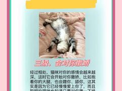 -美联众合动物医院·24h转诊中心