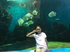 -石林冰雪海洋世界