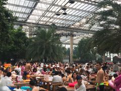 餐饮设施-龙达温泉生态城