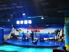 -重庆欢乐海底世界