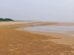 -日照海滨国家森林公园