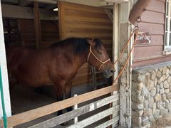 -神户市立六甲山牧场