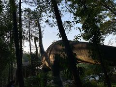 -森波拉火山温泉