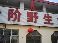 -金台阶鱼馆(于桥水库店)