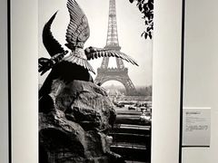 -上海宝龙美术馆