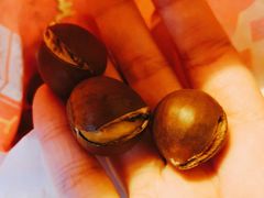 -阿男野栗王(金门路店)