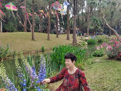 -人民公园(罗湖区)