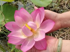 -天津东丽湖风景区