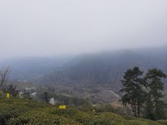 -石潭村