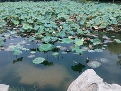 景点-刘禹锡公园