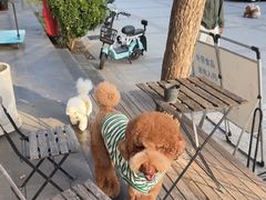 -小意思咖啡店(草桥店)