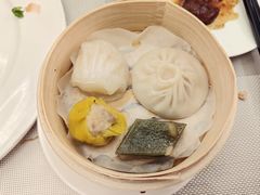 -泰康之家·申园