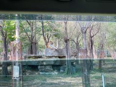 -秦皇岛野生动物园