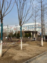 -北京京都儿童医院