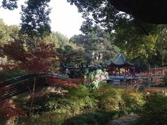-申粤轩酒楼·三十年粤菜经典(丁香花园店)