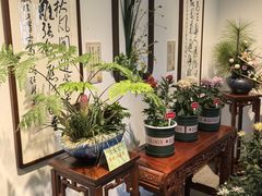 -迎泽公园