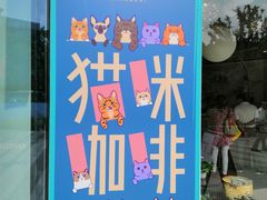-飞行喵MR PILOT|猫舍·猫咖(静安大融城店)